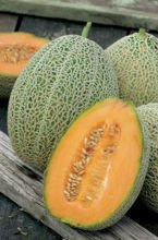 Nasiona Melon Emir F1 - Cucumis Melo Emir