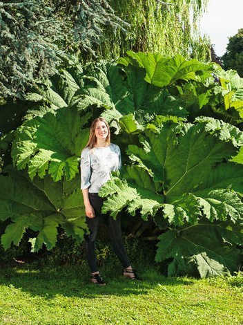 Gunera olbrzymia (Gunnera manicata)