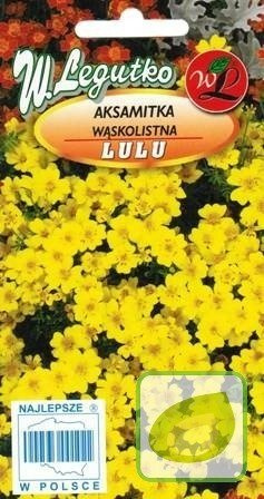 Nasiona Aksamitka Wąskolistna Lulu - Tagetes