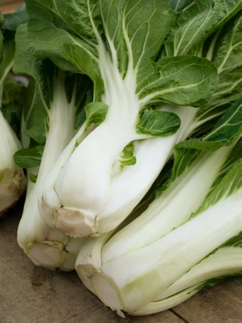 Nasiona Pak Choi - Kapusta Chińska